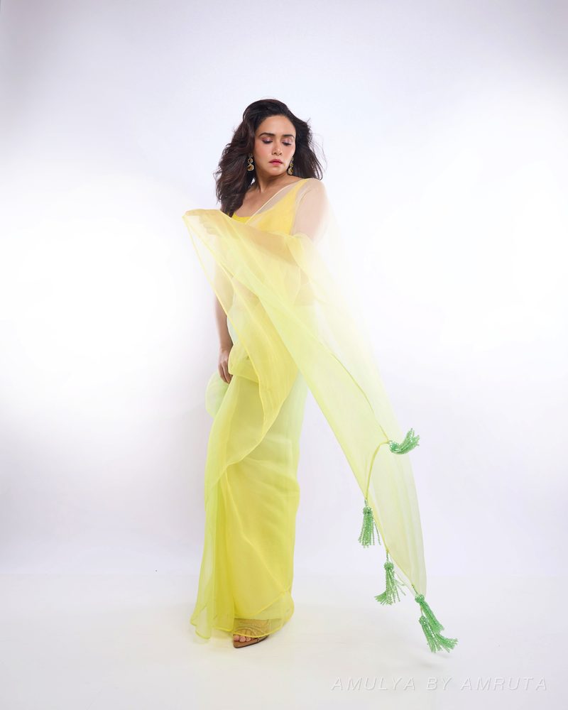  साडी नेसलेली — worn-6. अमूल्य बाय अमृता यांनी निवडलेली.